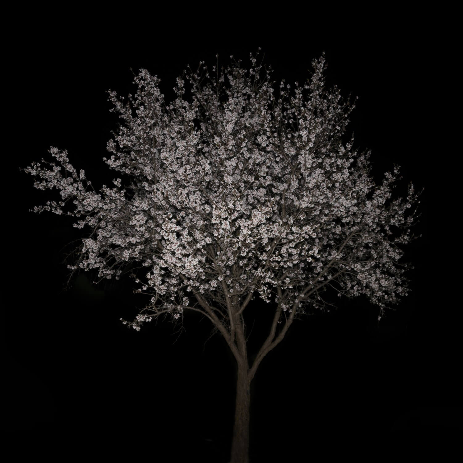 Artist Interview: Maria Mavropoulou