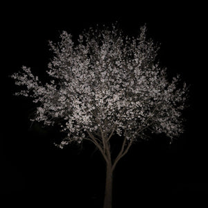 Artist Interview: Maria Mavropoulou