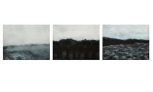 C.Nazım Arslan's Artworks