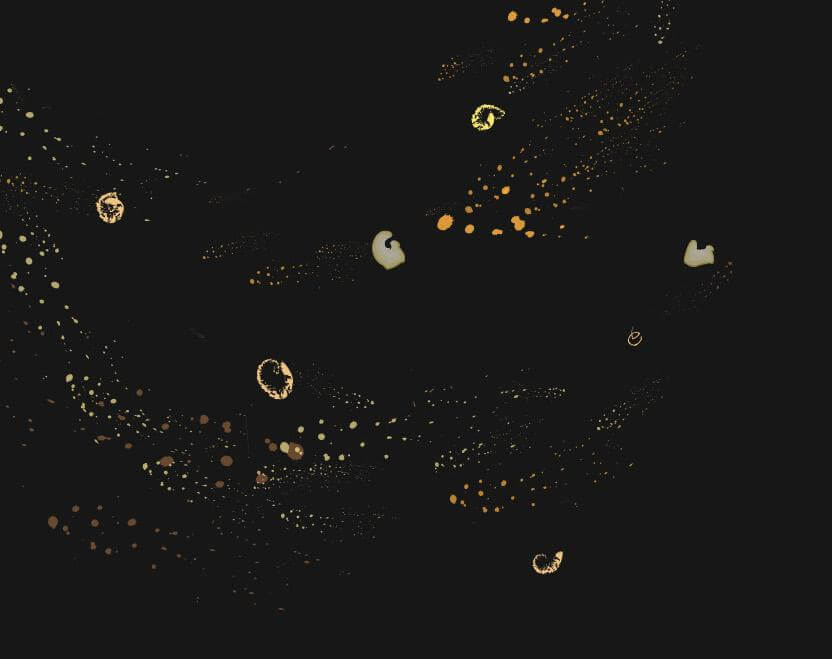 Diwali II Leyla Kefeli
