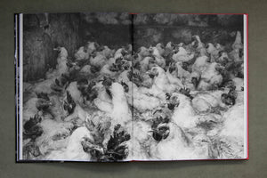 İstanbul: A City of Strange and Curious Moments - Timurtaş Onan