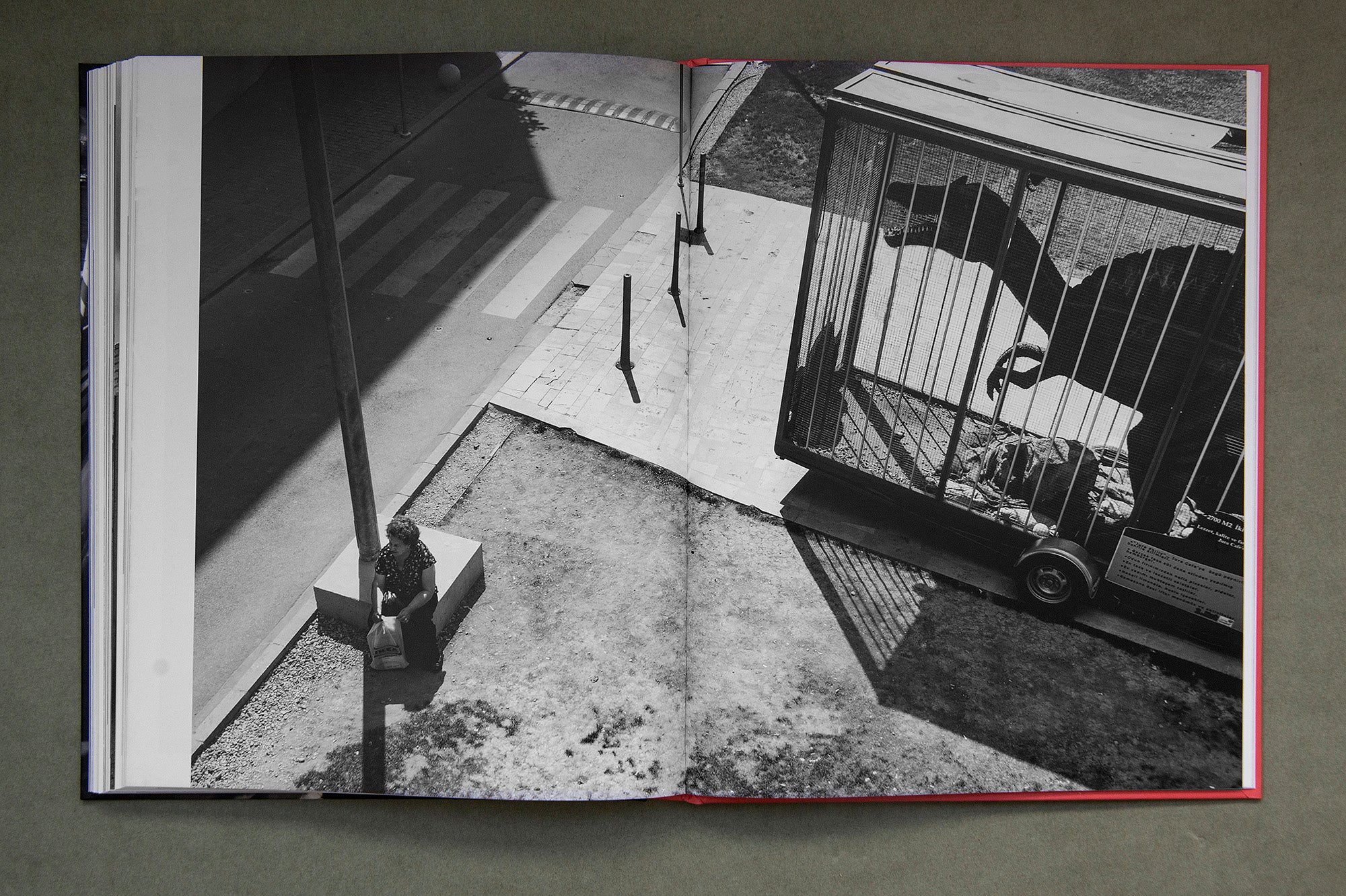 İstanbul: A City of Strange and Curious Moments - Timurtaş Onan