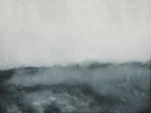 Fog C. Nazım Arslan